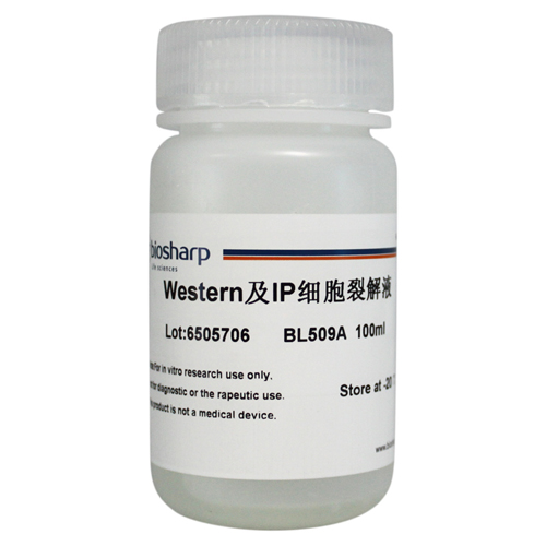 Western及IP细胞裂解液 biosharp实验室专用